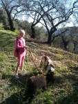 Country Walk