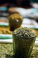 fennel seed 