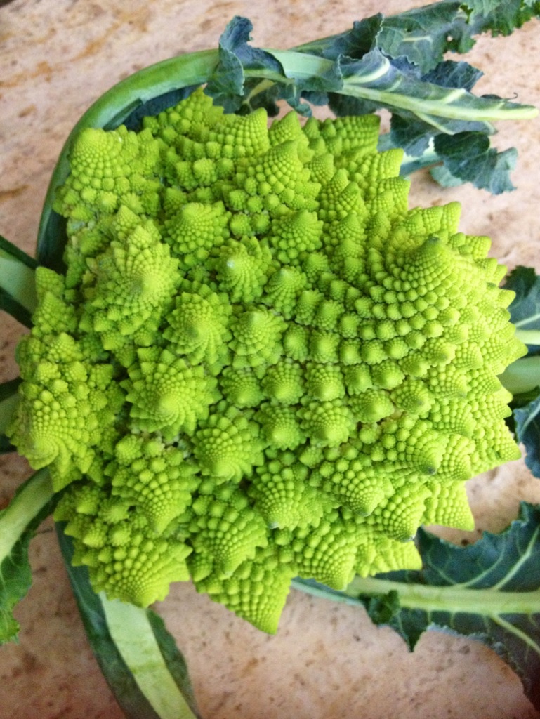 Romanesco Caulifower