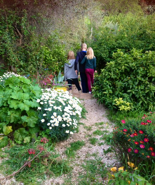 walk on the wildside