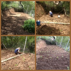 La Rosilla Vegetable plot