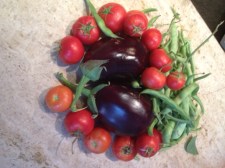 Harvest from the La Rosilla patch.