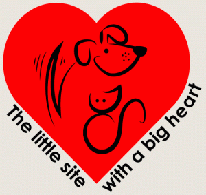 Axarquia Animal Rescue